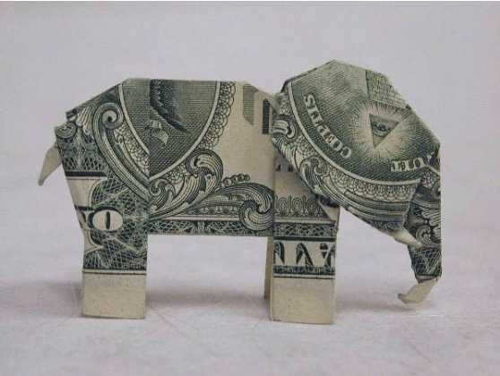 Elephant by Steve Hecht